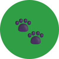 Animais de Estimação